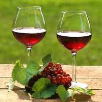 International Grape Vine