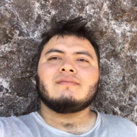 Nerle Ricardo Rosas Parra