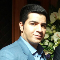 Mohammad Javad Vasheghani Farahani