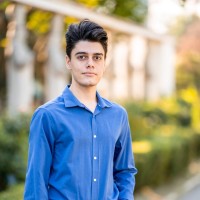 Stefan-Cristian Berlinschi
