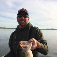 Addison Williams