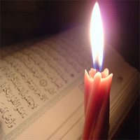 Noofa Forever