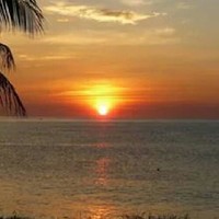 ana cristina March R