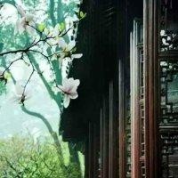 李远洋