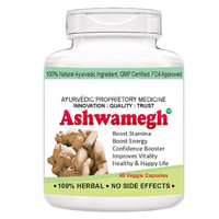 Ashwamegha Power
