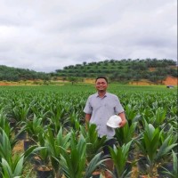 Danang Mardi Lestari
