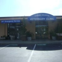 Carmel Holistic Veterinary