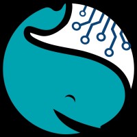 White Whales