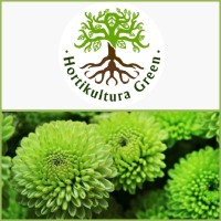 Hortiklutura Green
