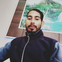 Raj Singh