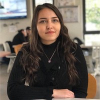 Feyza Çevi̇k