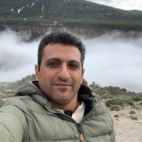 Hamidreza Hassani