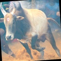 Pravin Balaji
