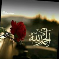 Saima Tanweer