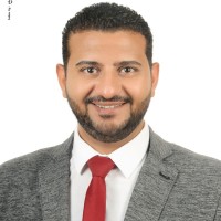Mena Mohsen Attia