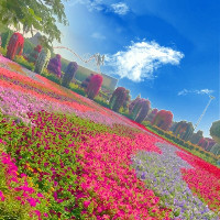 مريم العنزي