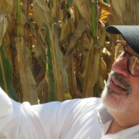 Rodolfo Gomez Luengo