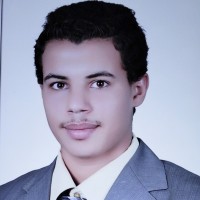 Araby Sayed