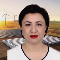 Beyhan Akarsu, Phd