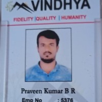 Praveen Kumar B r