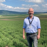 David Dinhani Jr
