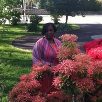 Wendy Junious-Green