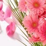 Tapas Kumar Maity