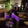 yahyaoui arbi