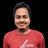 WordPress Web Designer and Developer