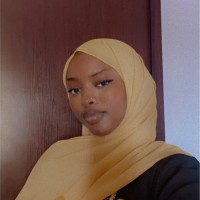 Diallo Boudel
