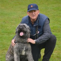 Frans De Graaf