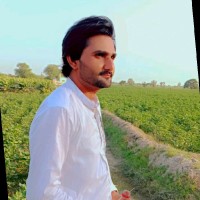 Muhammad Gulzar