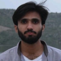 Malik Qamar Awan