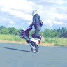 ludix next