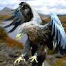 Serdar u