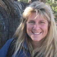 Beth Holtzman