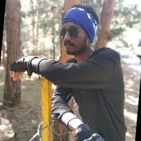 Praveen K