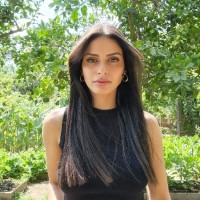 Danit Meshulam