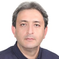 Mohammad Reza Mashkoormaneshfard Pmp