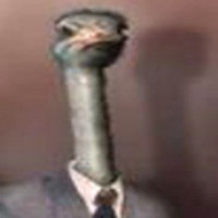 snyco lee
