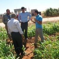 Qahtan Hmoud