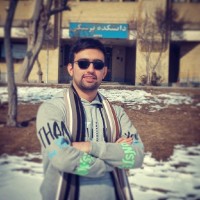 MohammadHossein Habibi