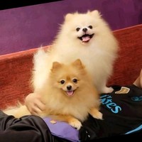 ภาคภูม ไชยหงษ์