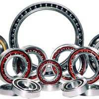 PP Trading Company