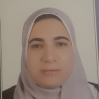 Alaa M. Elbedweihy