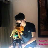 Harry Teo