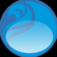 Wave Corp