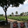 Sojitra Brijesh