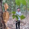 Ashraful Islam