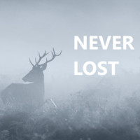 Never Lost